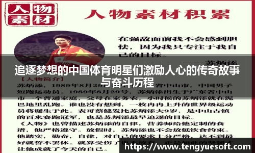 追逐梦想的中国体育明星们激励人心的传奇故事与奋斗历程