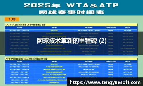 网球技术革新的里程碑 (2)